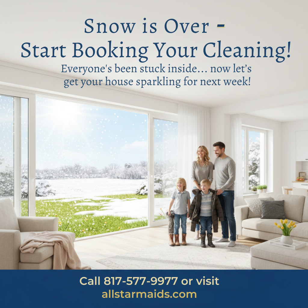 Dust Bunnies - Contact us